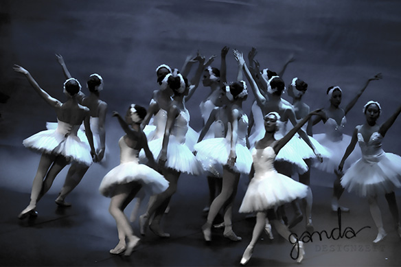 Schwanensee ... Impression des Abends