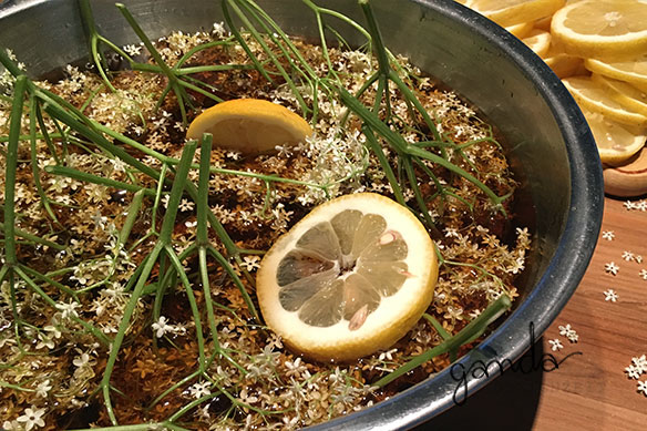 Holunderblüten-Sirup …